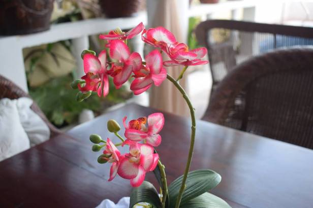 13096073_10209954397477216_7788629311371118540_n