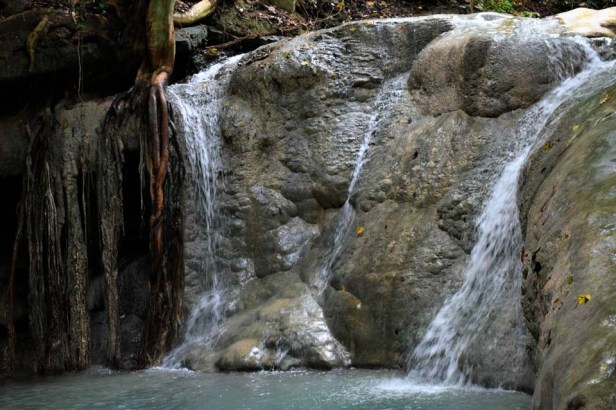 13501658_10209966572181576_8987458126393462089_n (1).jpg