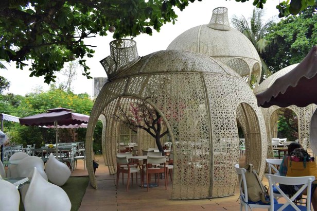 13532824_263495934007106_7521559918836837020_n