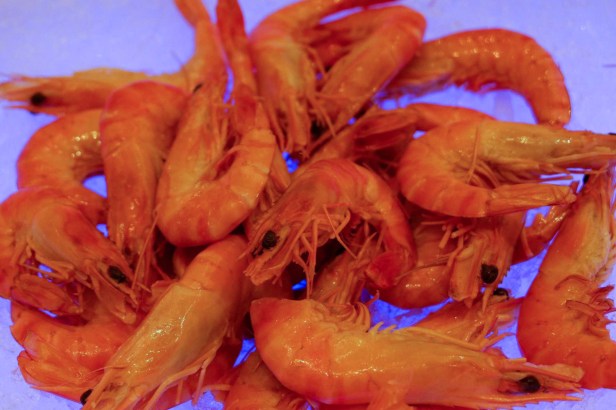 30074686_551745718515458_2137231484_o